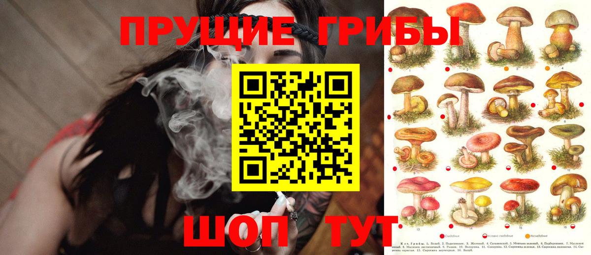 Псилоцибиновые грибы MAGIC MUSHROOMS Семёнов